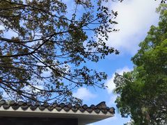 -四海公园(南山区)