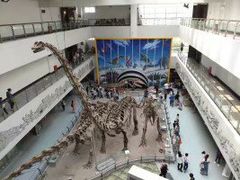-中国地质大学逸夫博物馆