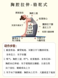 -亚太瑜伽普拉提学院
