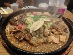 -老板恋上鱼(恒隆广场店)