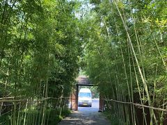 -新荣记(西溪湿地店)