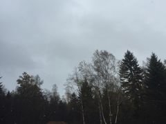 -五营红松林海景区