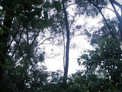 -南国桃园旅游度假区