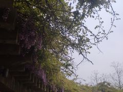 -印象普陀