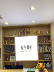 -心联形象设计·流星染