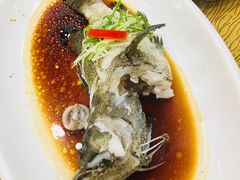 -寻味顺德·南记酒家·传统顺德菜·鱼生(广源路店)