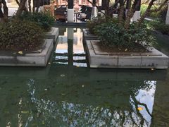 -上海崇明金茂凯悦酒店