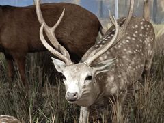 -陕西自然博物馆