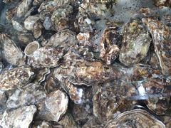 生蚝-雅逸居海鲜小厨