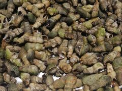 水煮吸波罗-王老大烤串