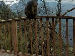 -瓦屋山景区