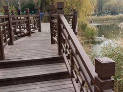 -北坞公园