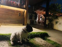 -悦哉·派对·草坪婚礼·围炉煮茶(三圣乡店)