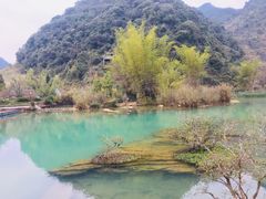 -靖西鹅泉风景区