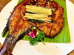 -紫滇源云南生态菜(丹凤街店)