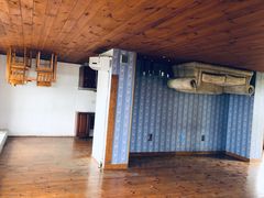 -金山农民画村-枫泾波兰倒置屋