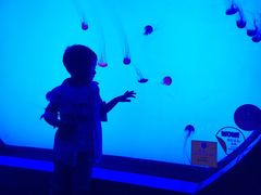 -沈阳海洋探索中心