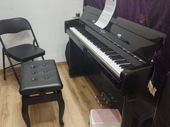 -珠江钢琴艺术中心(文一路店)