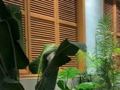 -春润大地海南椰子鸡(沙井京基百纳广场店)
