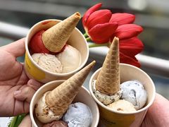 -Dip in Gelato(富民路店)