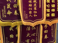 -伟伟宠物医院·CT影像中心·瑞派犬猫综合性门诊(汉口总院)