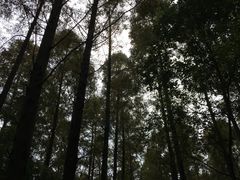 -同里国家湿地公园