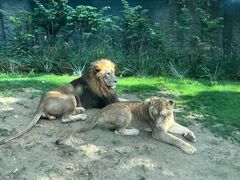 -北京野生动物园