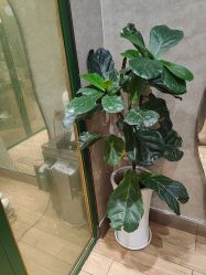 -逸丝风尚专注烫染