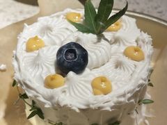 -野草莓自由市场