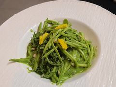 西葫芦-沃野Oii(青年湖店)