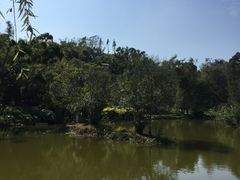 -厦门悦华酒店