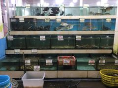 水产区-秋姐美食店(旅游大道店)
