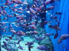 -成都浩海立方海洋公园