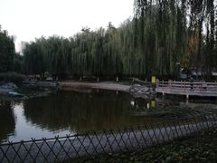 -丰台科技园生态主题公园