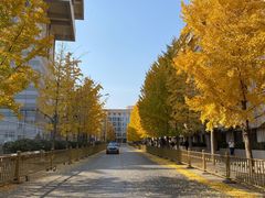 -北京网络广播电视台