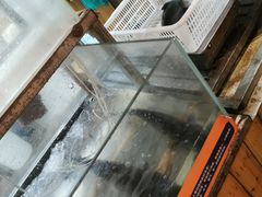 -齐祺渔锅(商城店)
