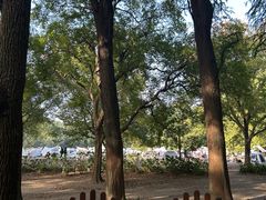 -共青国家森林公园-售票处