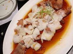 -甄御•海鲜新青岛菜(麦岛店)