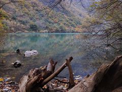 -叠溪松坪沟景区