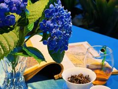 -大妙火锅·非物质文化遗产(东湖公园店)