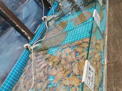 -渡海小渔村.老辈日照菜