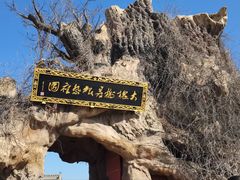 -大槐树寻根祭祖园