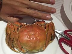-浦华大酒店-台南担仔面海鲜楼