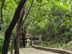 -观象山公园