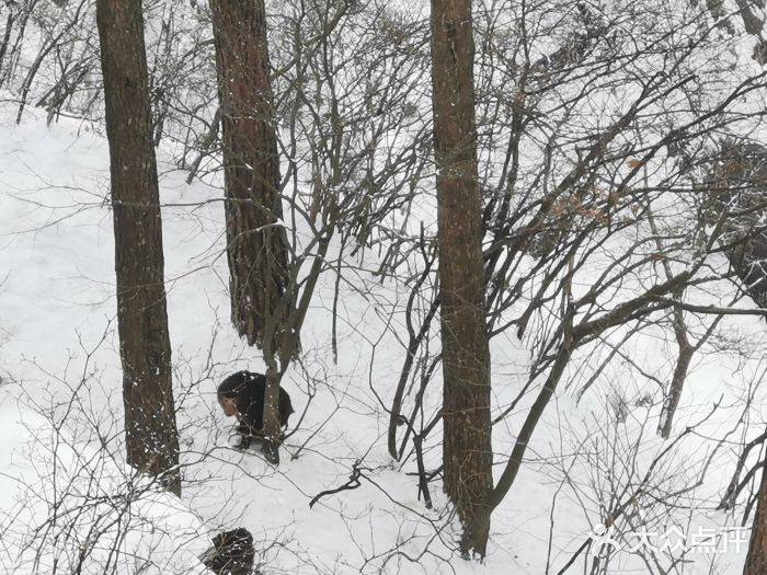 九华山风景区图片