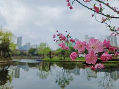 -和平公园