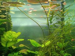 -昆明大悦城未来动物城(螺蛳湾中心店)
