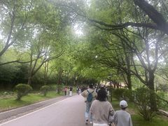 -南京市江宁方山