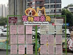 -帕帕拉兹宠物(亚洲旗舰店)