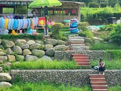 -北仑森林植物园